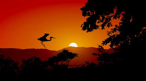 Beautiful Sunset Silhouette With Bird 3428313 Vector Art at Vecteezy