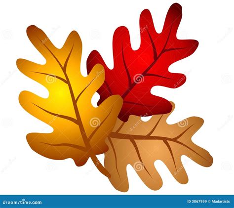 Autumn Oak Tree Leaves Clipart Royalty Free Stock Images - Image: 3067999