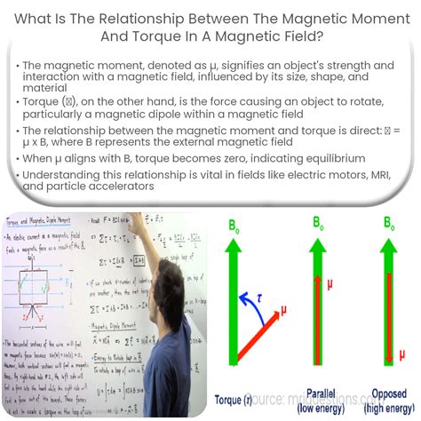 What is the relationship between the magnetic moment and torque in a ...