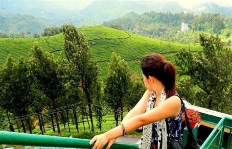 A Complete Travel Guide To Munnar Hill Station — Amazing Travel Tours | Know Everything About ...