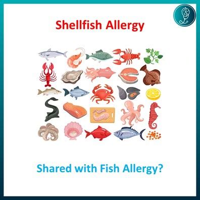 Fish Allergy | The Childrens Allergy | Private Paediatric Allergy Clinic