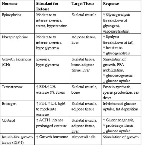 Endocrine System Hormones