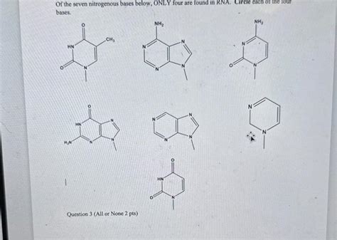 Solved Of the seven nitrogenous bases below, ONLY four are | Chegg.com