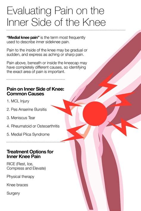 Pain on Inner Side of Knee: What Could It Mean? – The Amino Company