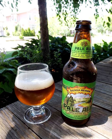 The 10 Best American Pale Ale Beer Brands To Try in 2023