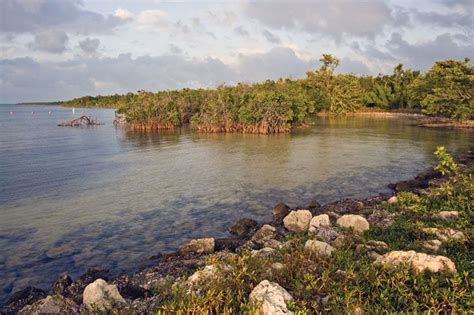 Biscayne National Park | Coral Reefs, Mangroves, Wildlife | Britannica