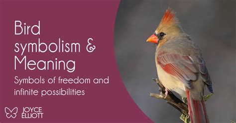 Bird symbolism & Meaning: 26 Symbolic Meanings Explained - Joyce Elliott