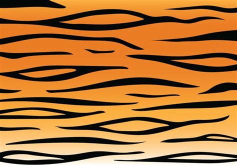 Tiger Stripe Pattern 183302 Vector Art at Vecteezy