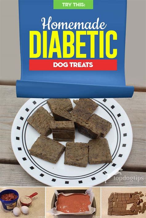 Video: Homemade Diabetic Dog Treat Recipe and Instructions