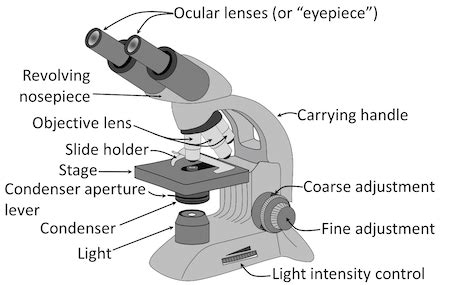 Condenser Microscope