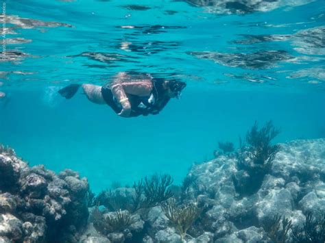 Snorkeling at Tulum Reef, Mayan Riviera | Snorkeling in Mexico