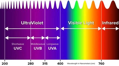 Unlocking The Secrets Of UV Light