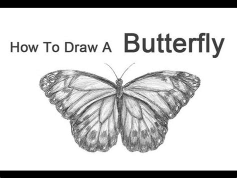 How to Draw a Butterfly - YouTube