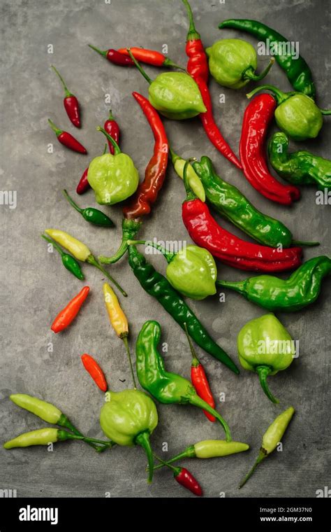 Different types of homegrown chillies or chilli peppers background ...