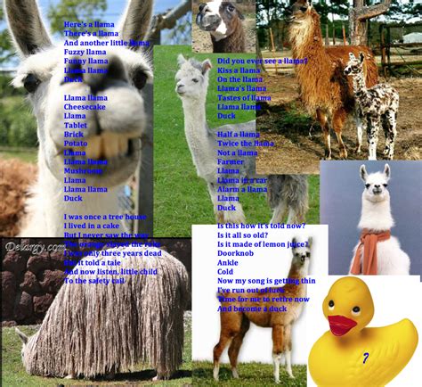 The Llama Song by trevor4056 on DeviantArt