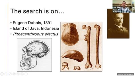 Gambar Fosil Pithecanthropus Erectus - 47+ Koleksi Gambar