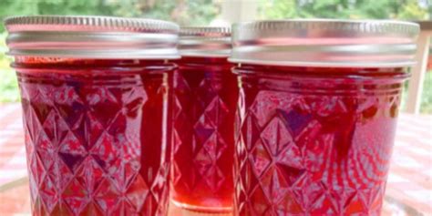 How to Make Seedless Raspberry Jam - Fluxing Well