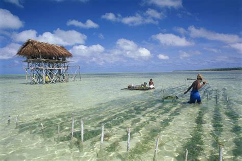 Kiribati, un país que se hunde. - Ciencia y Educación - Taringa!