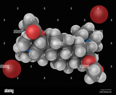 Pancuronium bromide hi-res stock photography and images - Alamy