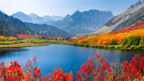 Autumn trees Wallpaper 4K, Lake, Mountain range, Daytime