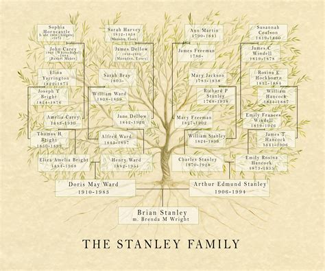 Family Tree Chart Genealogy | ubicaciondepersonas.cdmx.gob.mx