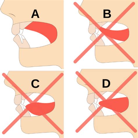 Mewing | Keep Correct Tongue Posture – Koko Face Yoga