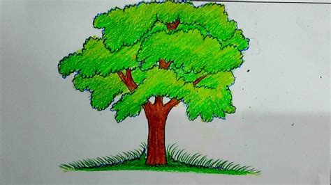 Simple Pencil Drawing Of A Tree