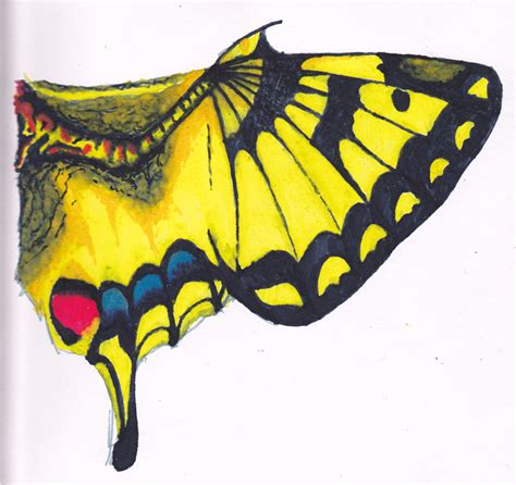 Swallowtail butterfly dragon wing by draggon-rider2 on DeviantArt