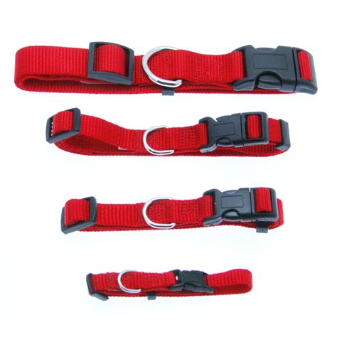 Barking Basics Dog Collar - Red | BaxterBoo