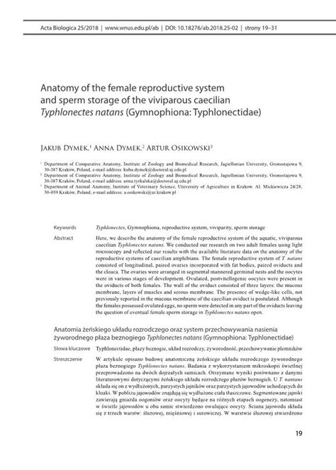 Anatomy of the Female Reproductive System and Sperm Storage of the Viviparous Caecilian ...