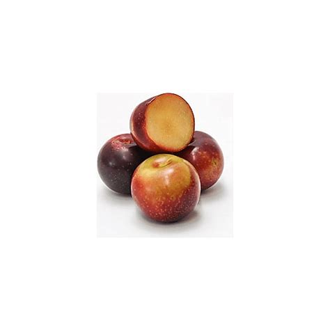 Plumcot | Summer Fruit | The MarketPlace