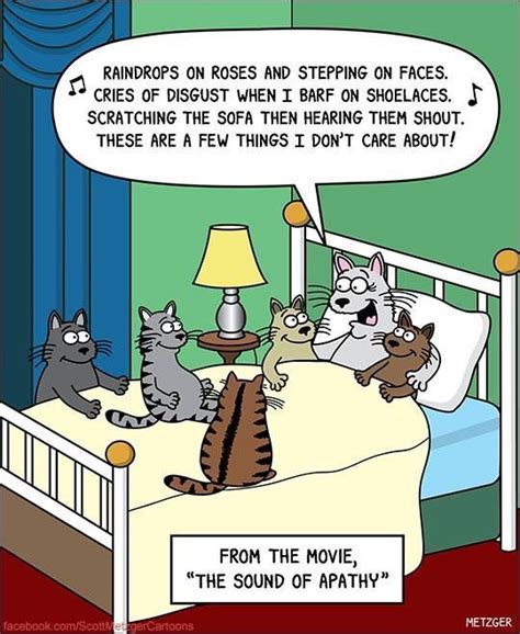 Funny Cat Cartoons With Captions - Cat Mania