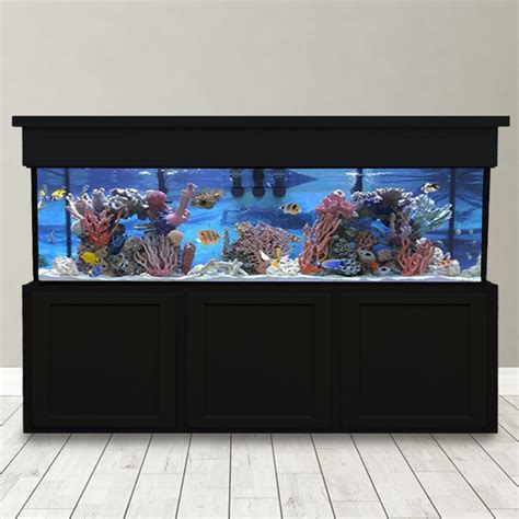 280 Gallon Saltwater Aquarium - Custom Glass Fish Tank - Custom Aquariums