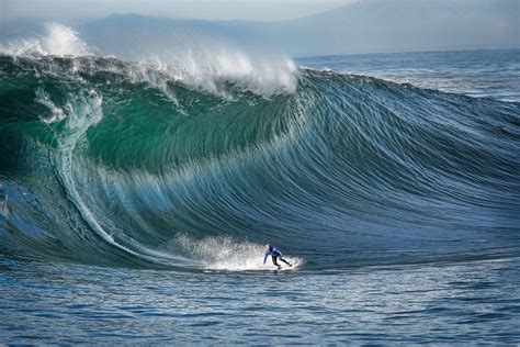 Hawaii Surfing, Dangerous Waves | Animal Photo