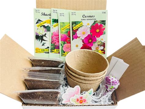 Butterfly Garden Kit Butterfly Garden Seed Kit Gift for Gardeners Butterfly Garden Seeds Garden ...