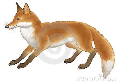 Swift Fox clipart, Download Swift Fox clipart for free 2019