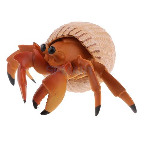 Animals Figure Toys Sea Hermit Crab Animals Toys Realistic Wild Pastic Animal Figurine Kids ...