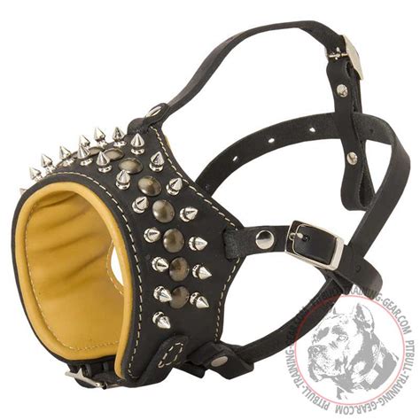 Get Anti-Barking Spiked Padded Pitbull Muzzle | Training Gear