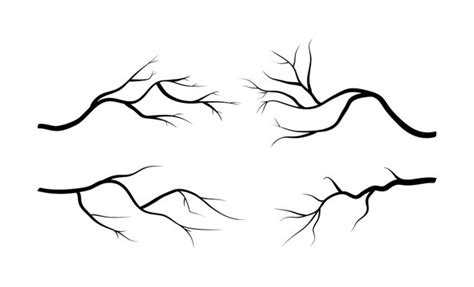 Fallen Tree Branch Drawing