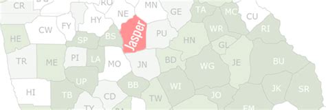 Search for Georgia Jasper County Records at county-record.net