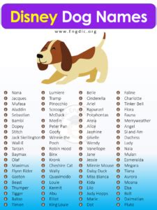 300+ Magical Disney Dog Names (Boy, Girl, Pups) - EngDic