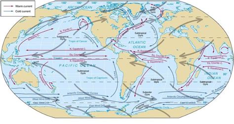 indian ocean currents - Yahoo Image Search Results | Ocean currents map, Ocean current, Map