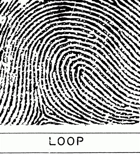 A Fingerprint Expert Blogs