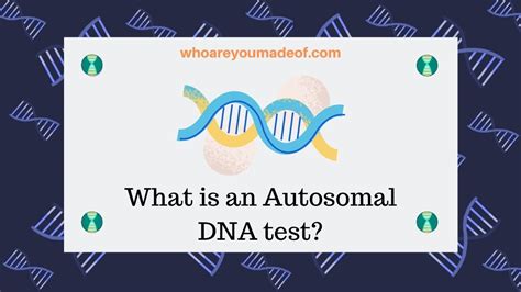 What is an Autosomal DNA test? - Who are You Made Of?