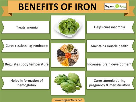 Benefit Of Iron in human body - Kisah Si Dairy