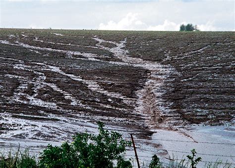 Erosion Prevention | EMSWCD