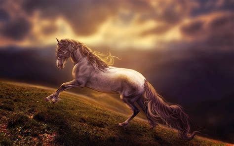 Amazing Horse Art, HD Artist, 4k Wallpapers, Images, Backgrounds, Photos and Pictures