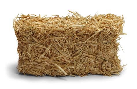 Pick Up Straw Bales At Wells BrothersWells Brothers Pet, Lawn & Garden Supply