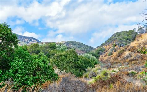 Jeopardy Round: Environment Jeopardy Template