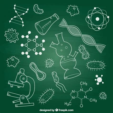 Biology Vectors, Photos and PSD files | Free Download